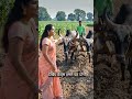 गांव की खेती 🚜 | देसी अंदाज़ में हल चलाना
