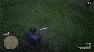 RDR2 That snake literally got scared to death!