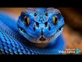 NISHAZOEA Official Video Lyrics From Viper TX NISHAZOEA Official Video Lyrics From Viper TX
