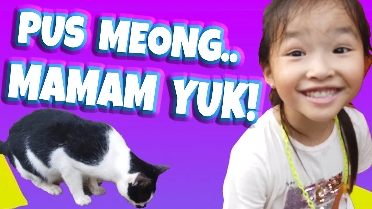 Gemasnya Thalia Anak Ruben Onsu Main Bareng Kucing