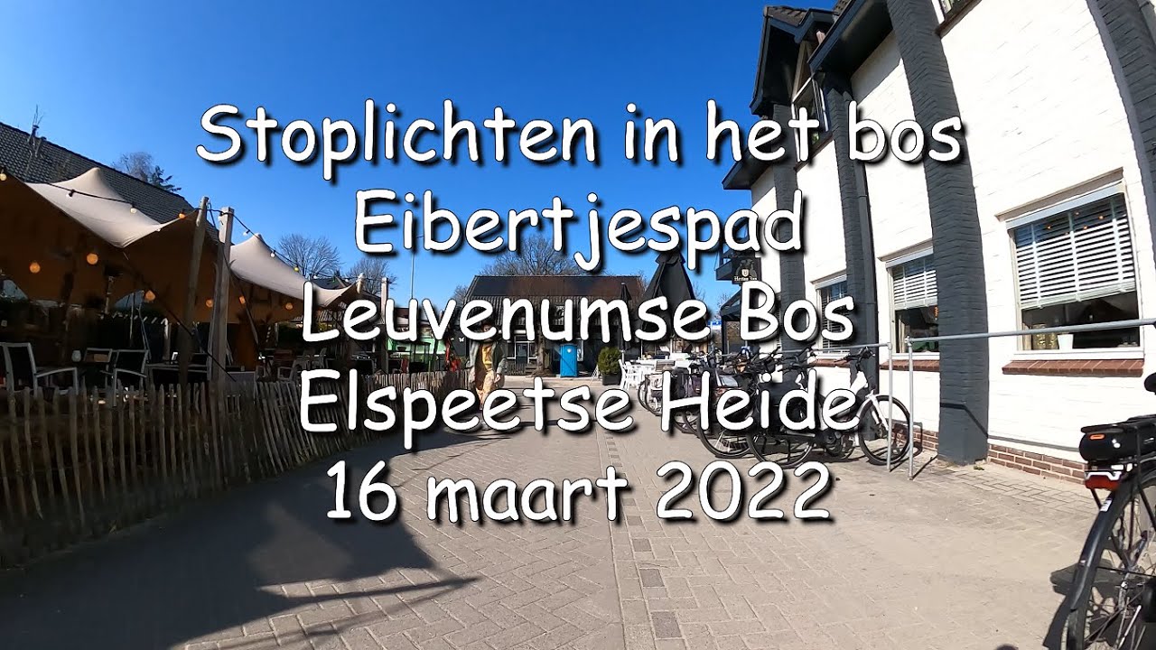 Veluwe bos rit met knooppunten einde winter 2022.  Stoplichten in het bos,  Eibertjespad, Elspeter