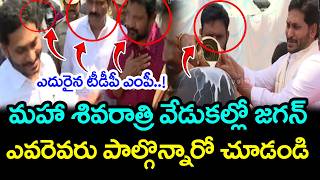 శివరాత్రి వేడుకల్లో జగన్ | YS Jagan Maha Shivaratri Pooja at Gudivada : PDTV News