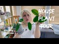 HOUSE PLANT TOUR summer 2020 UK