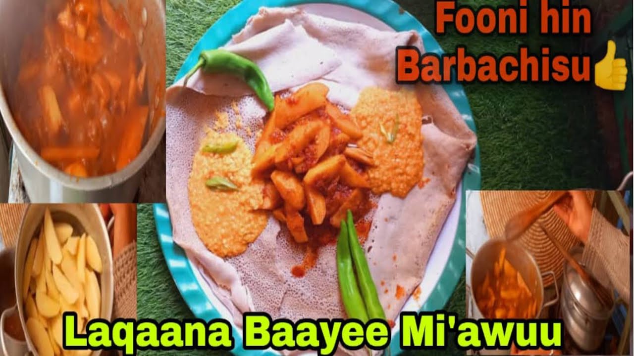 ittoYkn Waxii Mosee/Dinichaa FiMisira Alica HalaaSalphaaTa'eeni Hojatame.jalqaaba hanga dhumati