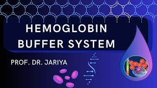 HEMOGLOBIN AS BUFFER