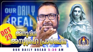 Download Lagu ഒക്ടോബർ 29 കൃപാസനം അനുദിന അനുഗ്രഹ പ്രാർത്ഥന | Our Daily Bread | Dr.Fr.V.P Joseph Valiyaveettil MP3 Download Lagu ഒക്ടോബർ 29 കൃപാസനം അനുദിന അനുഗ്രഹ പ്രാർത്ഥന | Our Daily Bread | Dr.Fr.V.P Joseph Valiyaveettil MP3