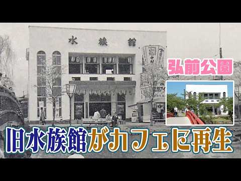 Former Hirosaki Park Aquarium Reborn as a Café