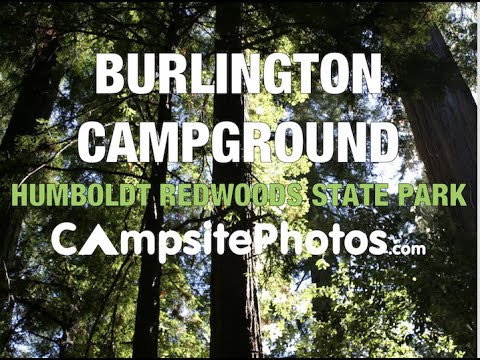 Burlington Campground, Humboldt Redwoods State Park, California - YouTube