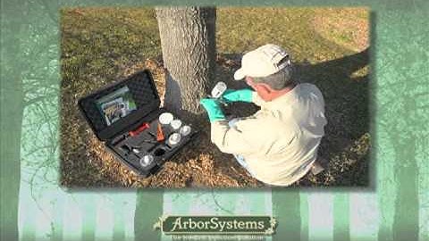 ArborSystems Wedgle Direct-Inject Tree Injection System