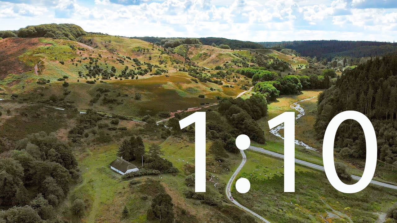 Rold Skov i fugleperspektiv - del 1