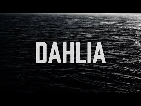 MOANLESS - DAHLIA ( Official Lyric Video )