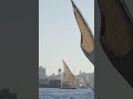 10 Days in Egypt 🇪🇬 | Best Itinerary &amp; Top Places to Visit | #travel #egypt #cairo #alex