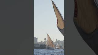 10 Days in Egypt 🇪🇬 | Best Itinerary &amp; Top Places to Visit | #travel #egypt #cairo #alex