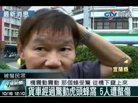 貨車經過驚動虎頭蜂窩 5人遭螫傷