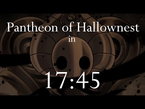 Hollow Knight Speedrun