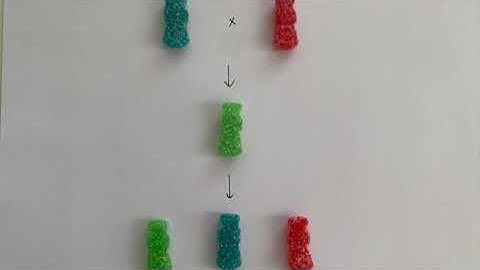 Module 2 Mini Video: Epistasis