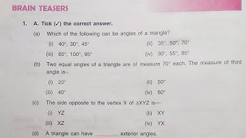 Dav Class 6 Math Chapter 12 Brain Teasers || Triangles || More About Triangles ||