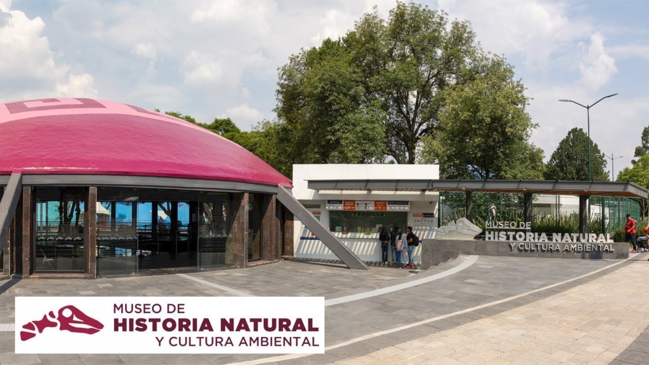 Mi Full Tour del Museo de Historia Natural y Cultura Ambiental en Chapultepec, Ciudad de México
