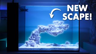 Brand New Aquascape + AI Prime 16HD Reef - Waterbox Peninsula Mini 25 | Blue Reef Tank