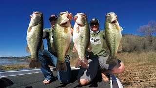 Winter B Fishing Catch Bigger Fish With These Alabama Rig Tricks