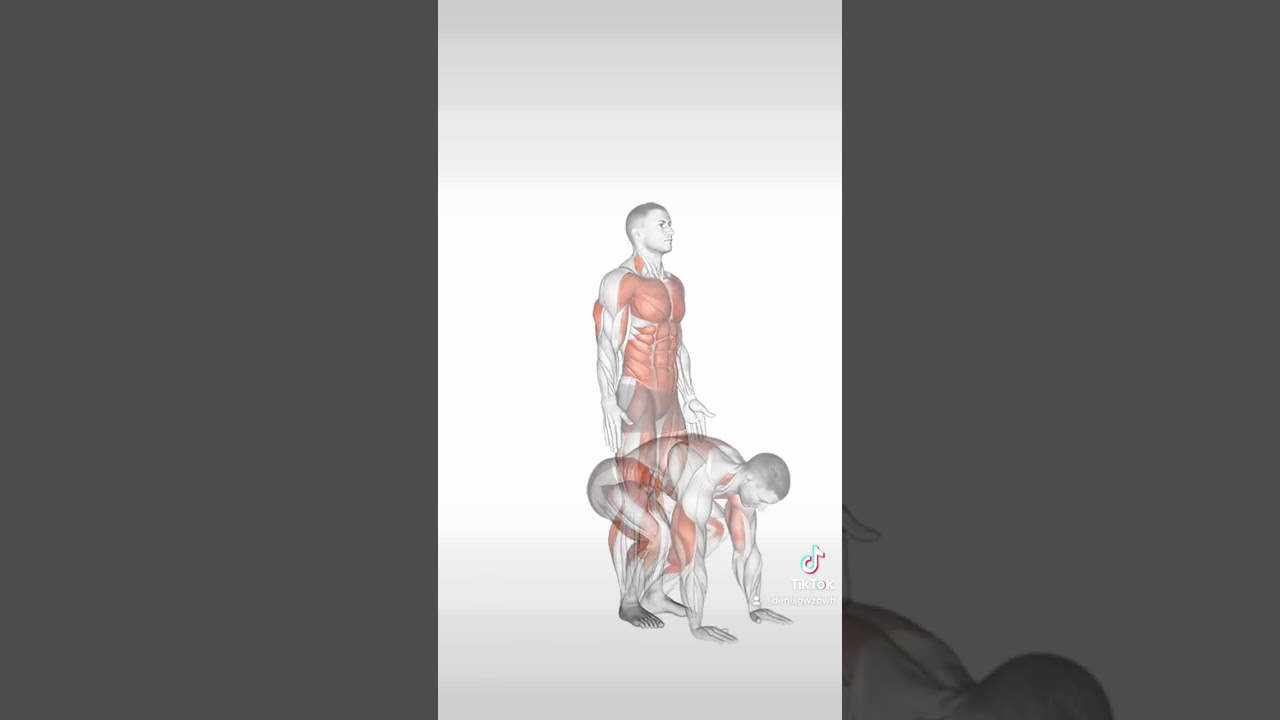 Full Body Workout/Home Workout/Übungen ohne Geräte no equipment workout 