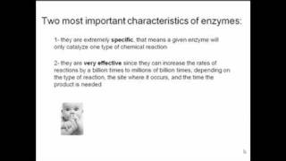 Make The Connection Part 1- Enzymatic Activity
