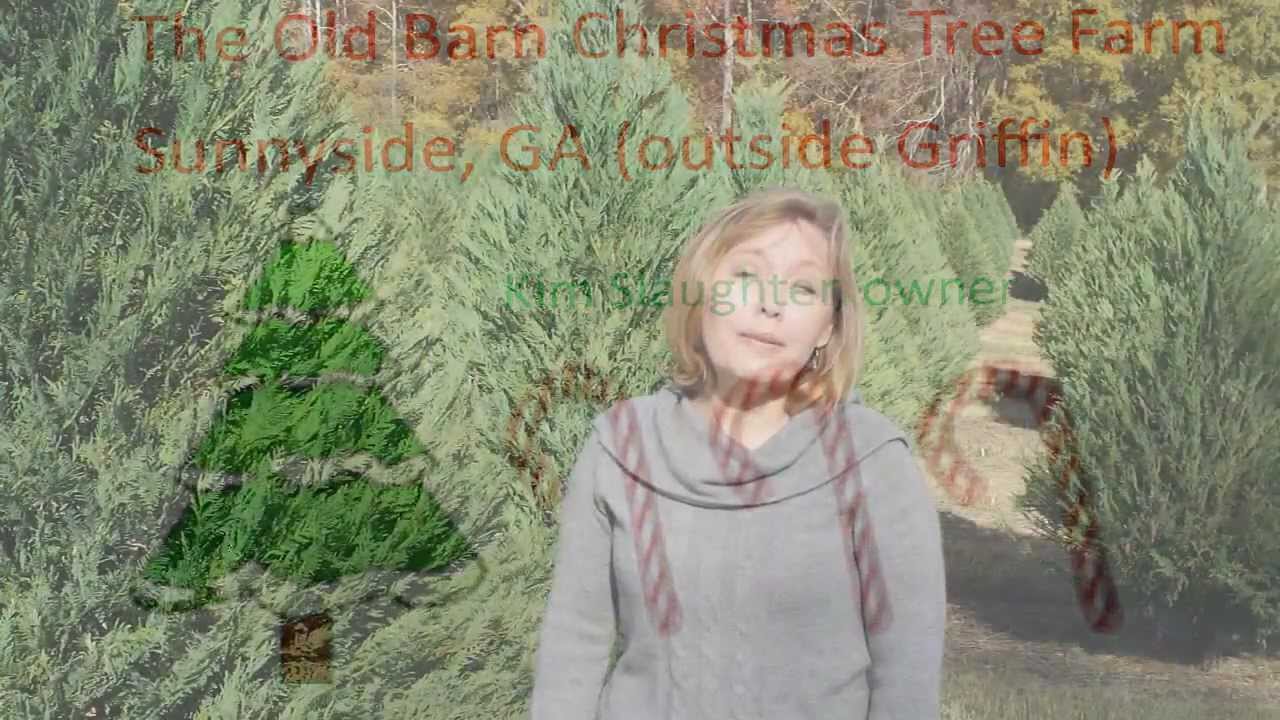 The Old Barn Christmas Tree Farm YouTube
