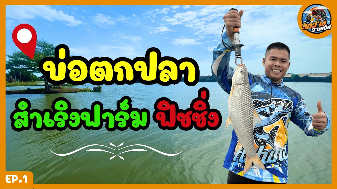 ตกปลาบ่อตกปลาสำเริงฟาร์มฟิชชิ่ง ปลากินดีมาก EP.1