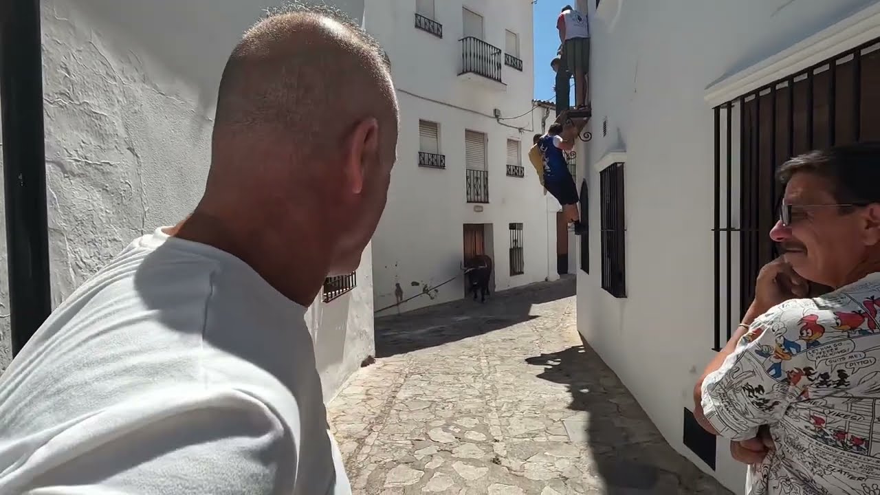 Lunes del Toro de cuerda Grazalema primitivo 12:00 de Gavira