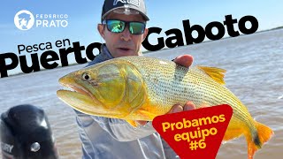 Puerto Gaboto, ¿pescar dorados con equipo #6? #pescaconmosca #flyfishing #atadodemoscas