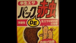 伝説のパックＤＥ赤虫を魚に与えてみた！