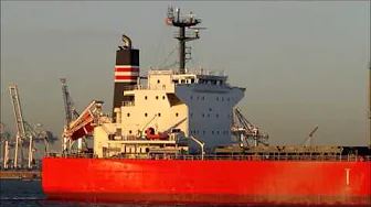 Bulk carrier Global Laguna enters Upper New York Bay near St George, Staten Island