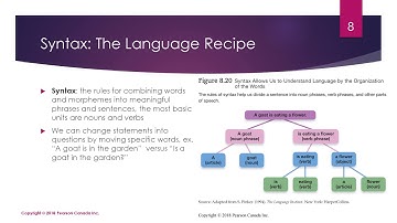 Chapter 8: Thought and Language (Module 3) - December 7th