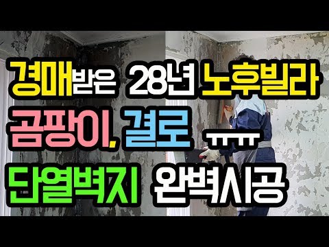 곰팡이제거, 단열벽지로 시공하다. 올수리 1달만에 경매로 받은 28년된 노후빌라 시공(곰팡이제거방법, 믿을만한 업체 고르는 팁)