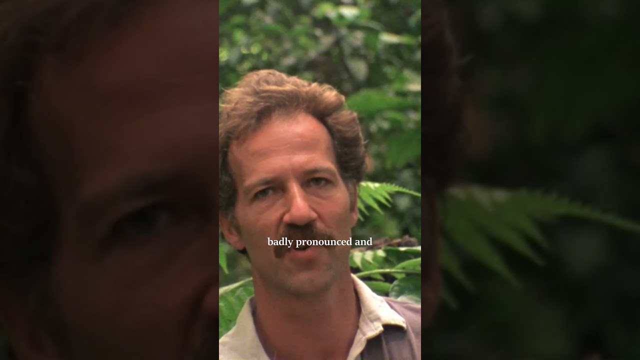 The birds don't sing, they screech in pain.