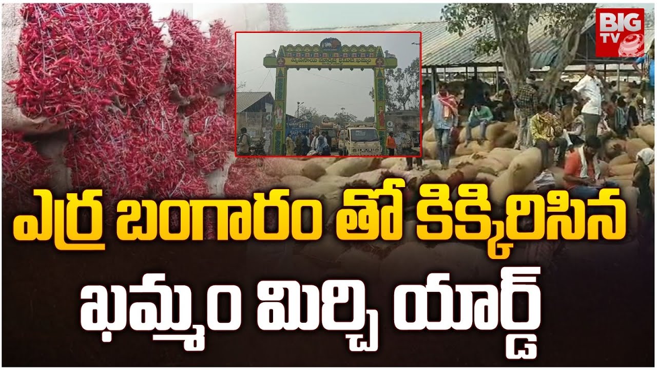 Huge Rush At Khammam Mirchi Yard | ఎర్ర బంగారం తో కిక్కిరిసిన ఖమ్మం మిర్చి యార్డ్ | BIG TV