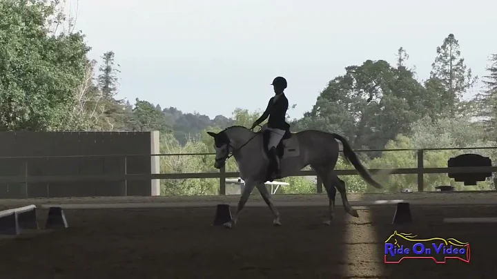 040D Jennifer McFall on Hallelujah DF Open Prelimi...