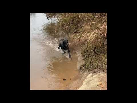 Video: Chattahoochee River National Recreation Area: Der vollständige Leitfaden