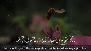 وأوحى ربك إلى النحل - القارئ عبدالله الموسى