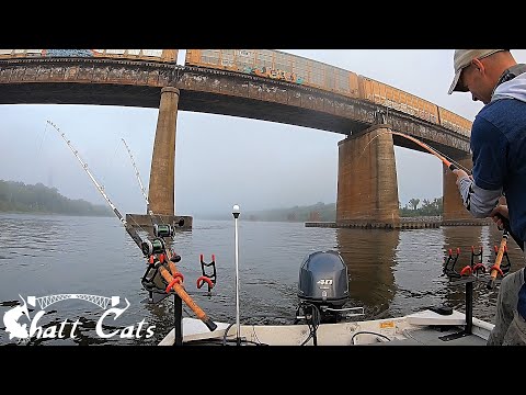 I Caught Something Big Under This Railroad Bridge