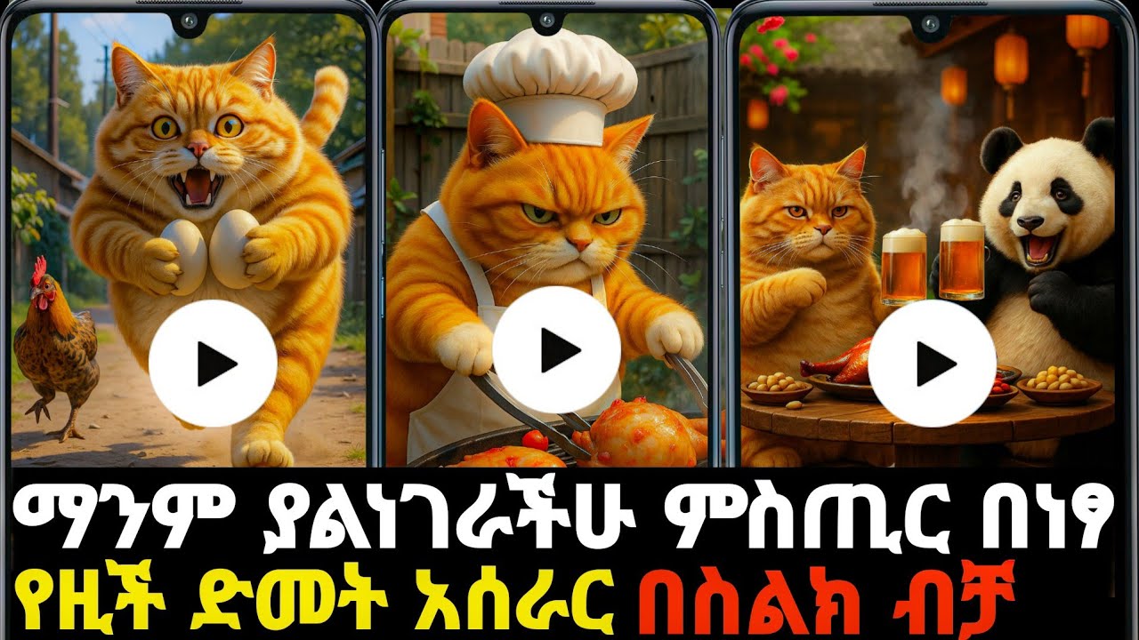 🤑 ሀብታም የሚያደርግችሁ ስራ አልሰማንም እንዳትሉ viral orange cat tutorial  in Amharic Ethiopia