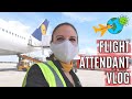 EUROPE TO USA DURING COVID-19 // International Flight Attendant Vlog 27 2020