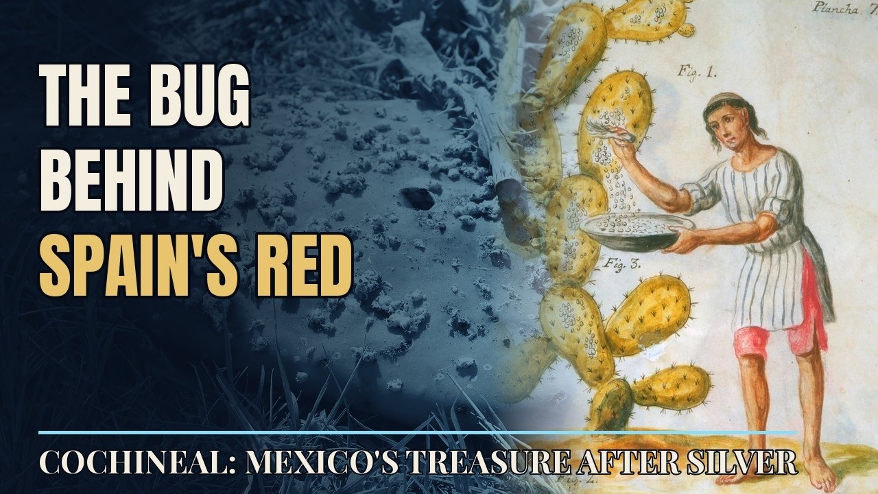 Cochineal: The Red Dye Bug Second Only to Silver in Spanish Mexico ...