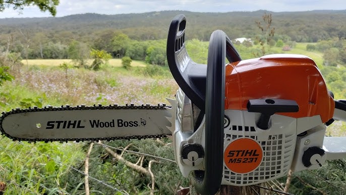 MS 251 CB-E, Powerful Lightweight Adjustable Chainsaw