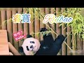 食家睿寶小姐打野要求新鮮 Gourmet Ms Ruibao picks food fresh from garden