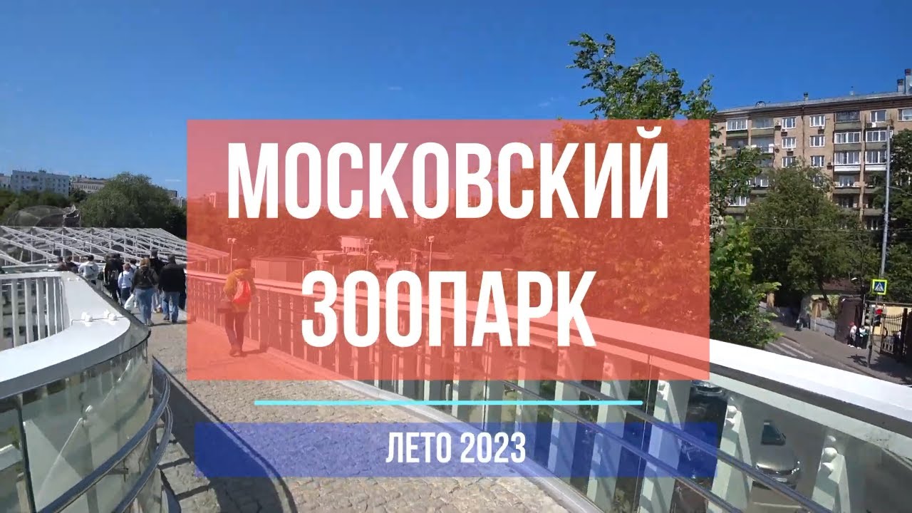 Смотреть видео