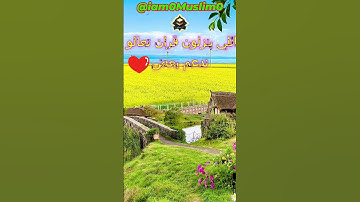 القارئ الصغير الذي حير مشاهير القراء بخشوع صوته الجزء  316 #قران #قران كريم #قراند #quran #quran alk