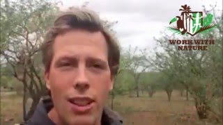 Freek Vonk Vertelt Over Het Regenwoud Van De Kinderen