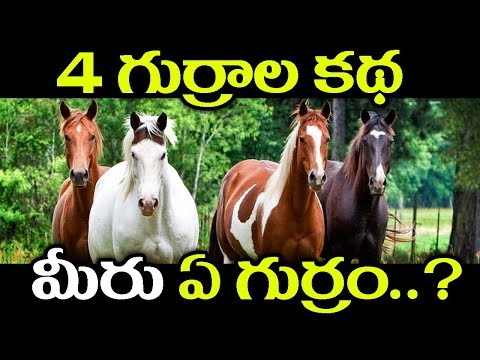 4 గుర్రాల కథ మీరు ఏ గుర్రం..? || 4 Horses Motivational Story || SumanTV