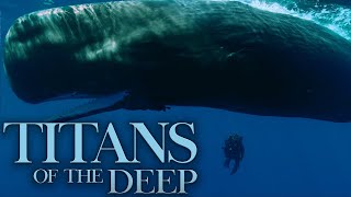 Titans of the Deep - The Voices of the Ocean - Episode 2